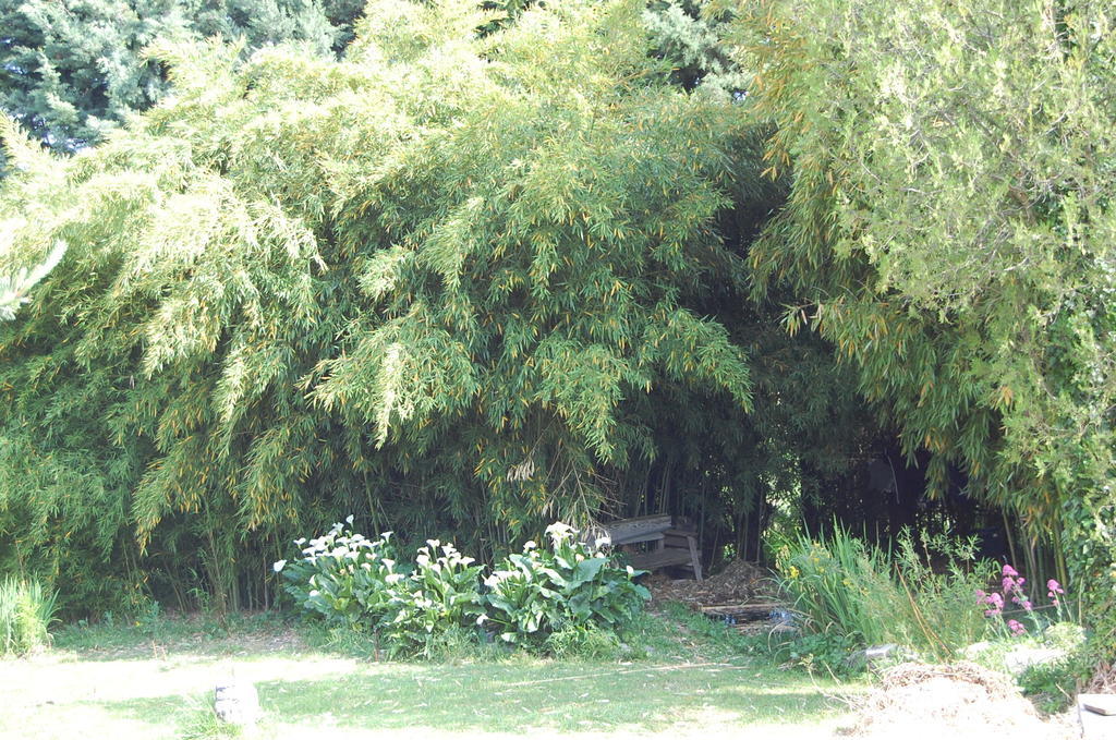 Gite Le Gre Chantemerle-les-Grignan ภายนอก รูปภาพ