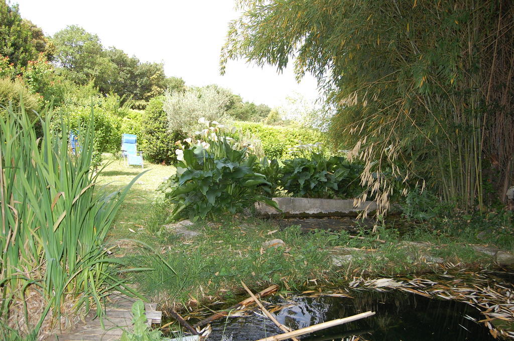 Gite Le Gre Chantemerle-les-Grignan ภายนอก รูปภาพ